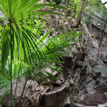 Lo Specchio Sul - The House Of Travelers Apartment *